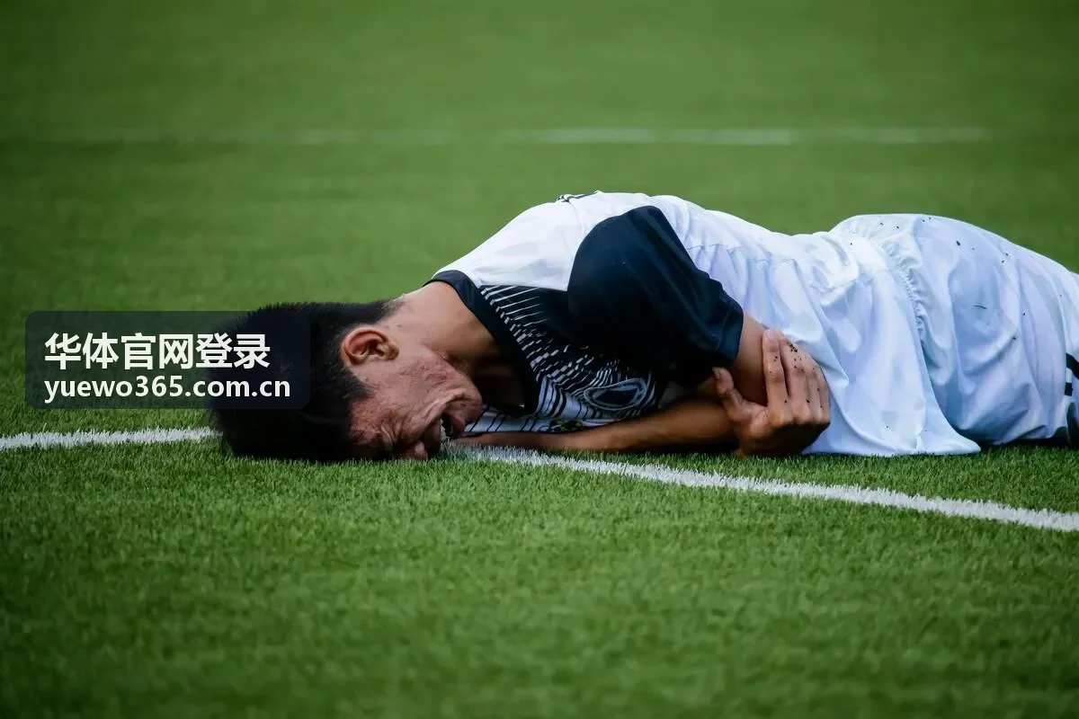 华体官网登录登录帮助与凭证下载封面