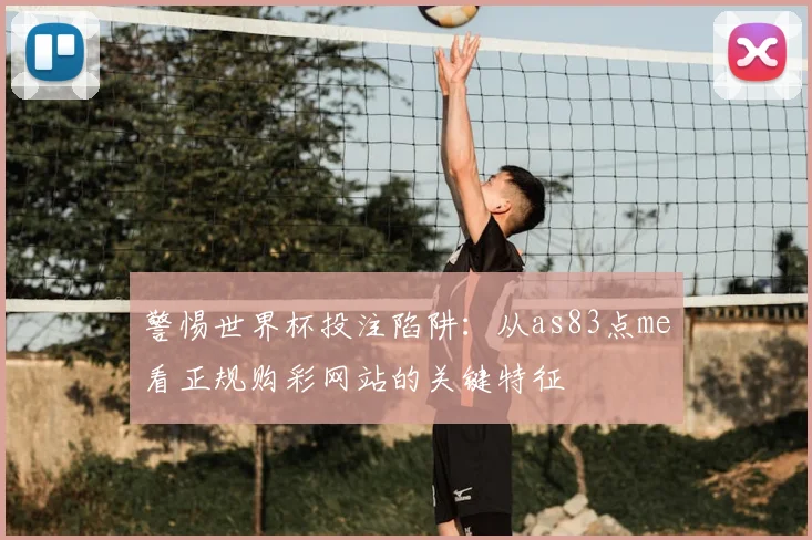 警惕世界杯投注陷阱：从as83点me看正规购彩网站的关键特征