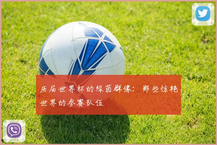 历届世界杯的绿茵群像：那些惊艳世界的参赛队伍