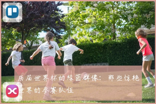 历届世界杯的绿茵群像：那些惊艳世界的参赛队伍
