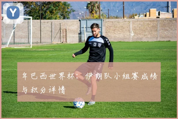 年巴西世界杯:伊朗队小组赛成绩与积分详情