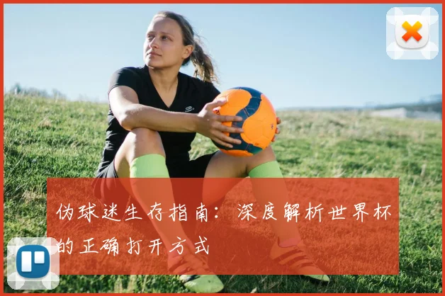 伪球迷生存指南：深度解析世界杯的正确打开方式
