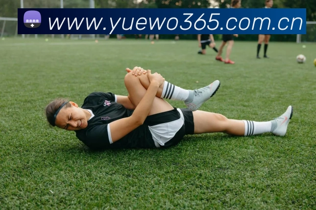 App Interface Preview