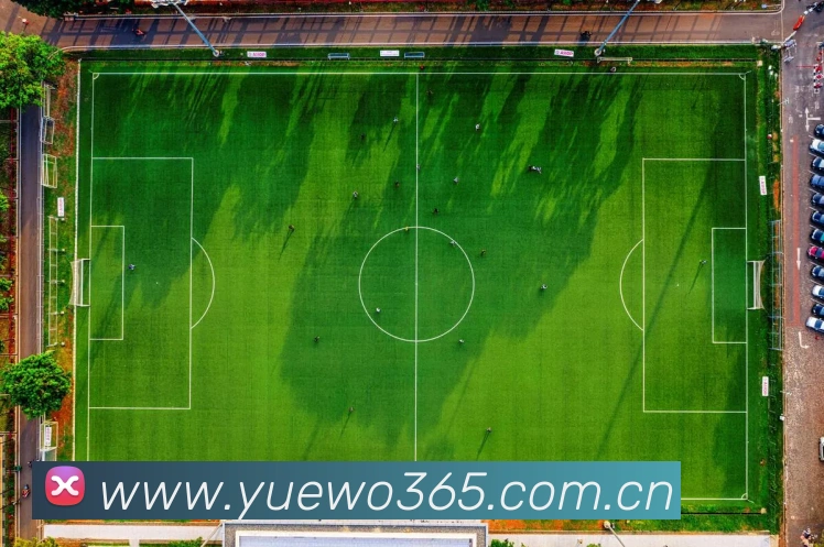 hth网页版在线登录入口APP 封面图